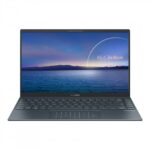 Asus ZenBook 14 HM021T-UX425JA 10TH Gen Core i5 Laptop